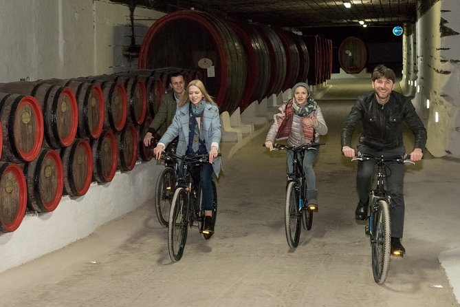 Biking a Guinness Book Winery - The Tunnel Bike Ride: 5 km Through Limestone Cellars (Plan for Cool, Dark, and Interesting)