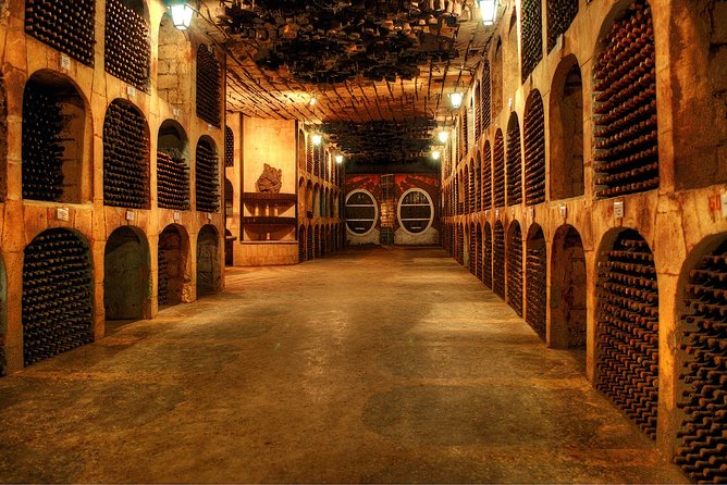 Biking a Guinness Book Winery - Stop at Milestii Mici: How the Winery Visit Works From Start to Finish