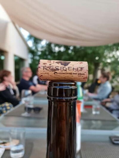 Binissalem: Individual vineyard tour and wine tasting in German - Meeting at the bodega gate: how to plan your arrival