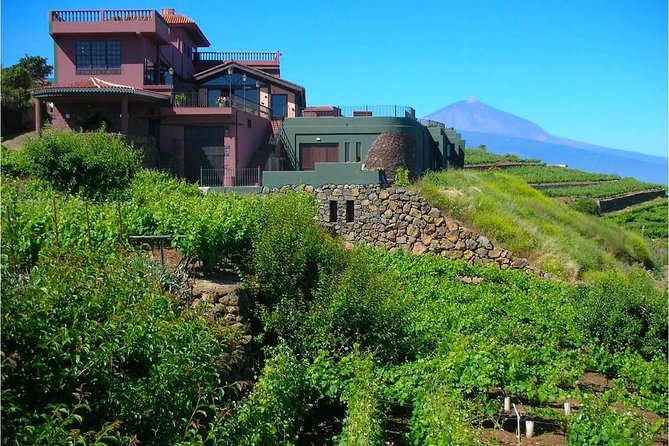 Bodegas Monje Winery Ticket w/Wine Tasting & Mojo Sauce Workshop - Meal Time: Eating Your Mojo Creations with the Group