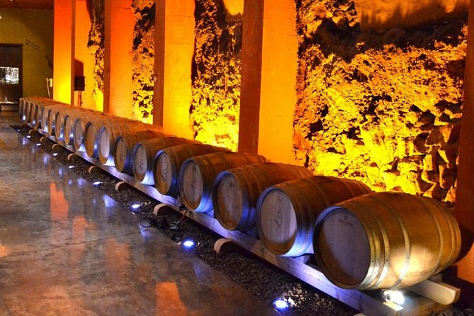 Bodegas Monje Winery Ticket w/Wine Tasting & Mojo Sauce Workshop - Timing, Group Size, and Comfort Tips That Matter