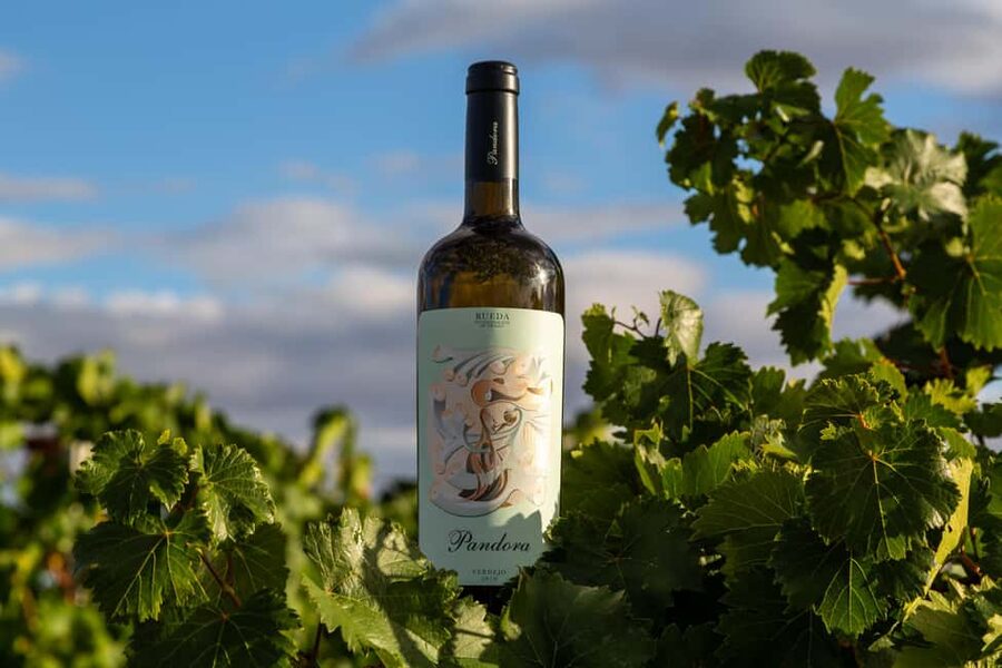 BODEGAS PANDORA: tour through vineyards and winery with wine tasting. - Key things to know before you go