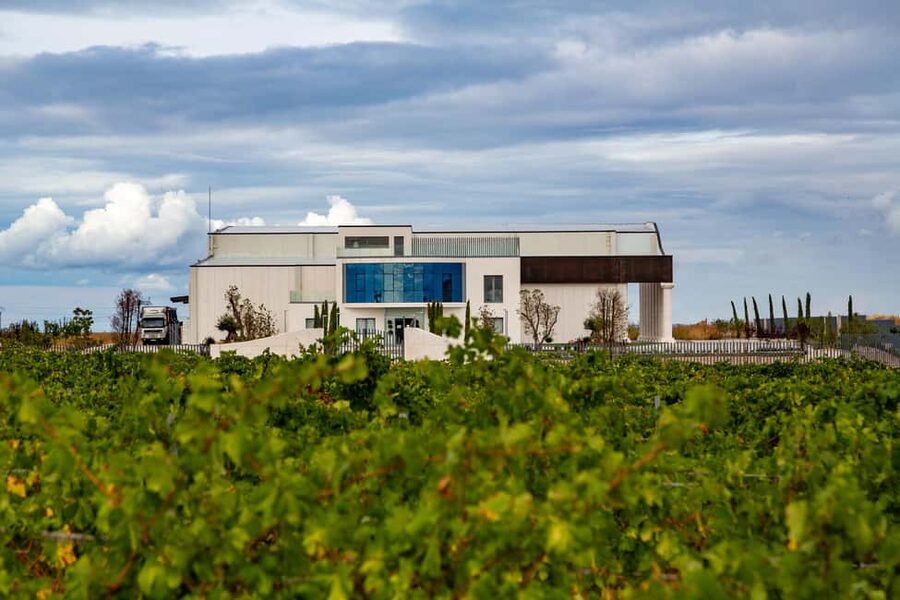 BODEGAS PANDORA: tour through vineyards and winery with wine tasting. - RUEDA Vineyards and Pandora’s working winery setting