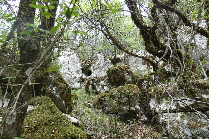BOGOVA WATERFALL & WINERY TOUR from Berat by 1001 AA - Who should book this Bogova and winery mix