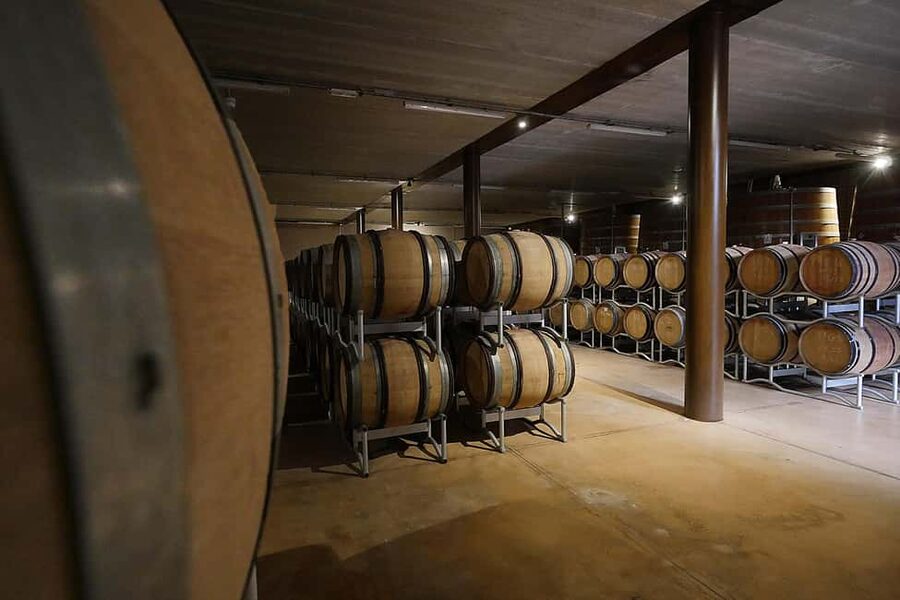 Bolgheri: a guided tour of the winery and a tasting of our wines - Down in the Cellar: Where Production Meets Patience
