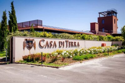 Bolgheri: a guided tour of the winery and a tasting of our wines - Fattoria Casa di Terra Winery Tour: 30 Minutes That Actually Explain