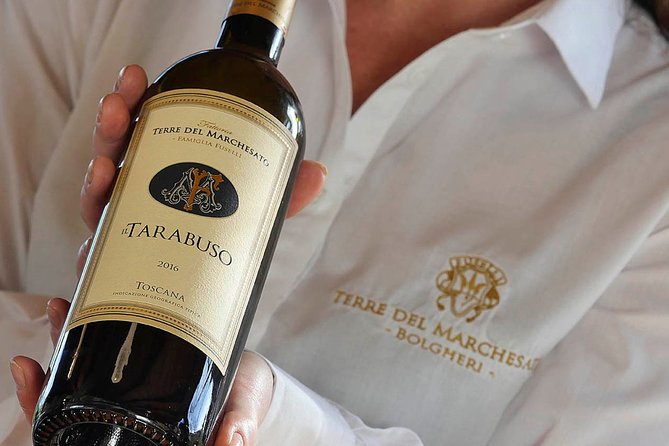 Bolgheri: Classic Wine Tasting with Winery Tour - Key things I’d pin on your radar