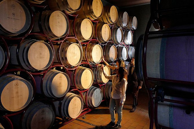 Bolgheri: Classic Wine Tasting with Winery Tour - Inside the winery: what the cellar visit teaches