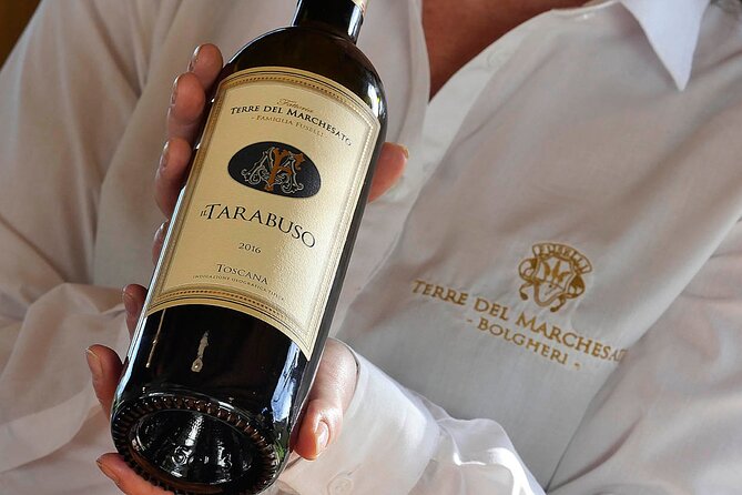 Bolgheri: Premium Wine Tasting with Winery Tour - Where the Tour Starts (and Why That Matters)