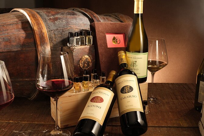 Bolgheri: Sensorial Wine Tasting with Winery Tour - Key highlights you should actually care about