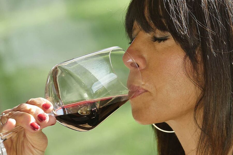 Bolgheri: Winery Tour with Wine Tasting - Who should skip or double-check first