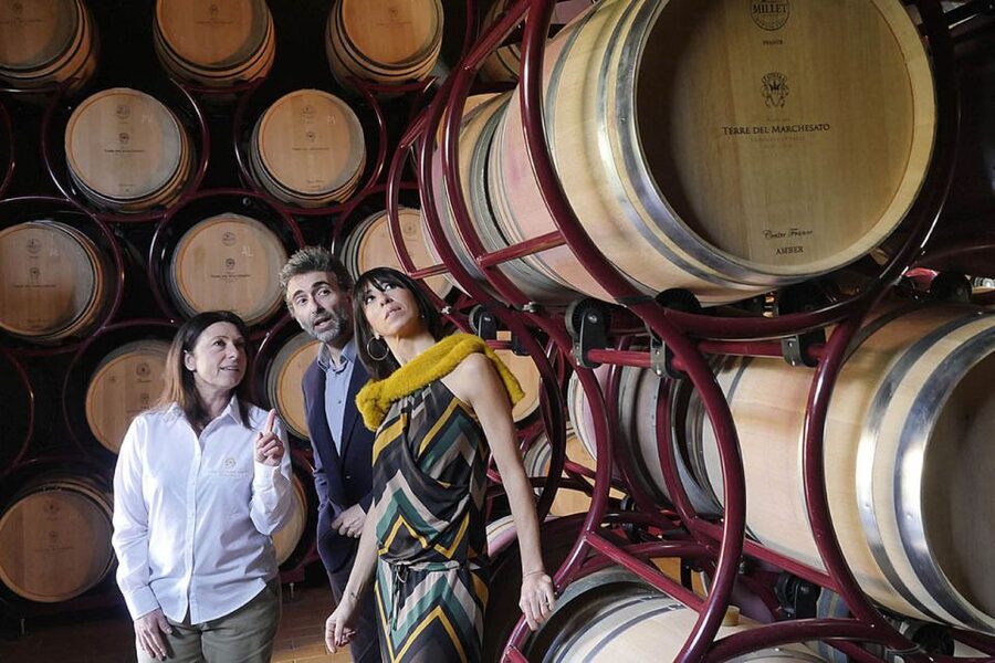 Bolgheri: Winery Tour with Wine Tasting - Bolgheri winery tour basics: what this 1-hour visit really delivers