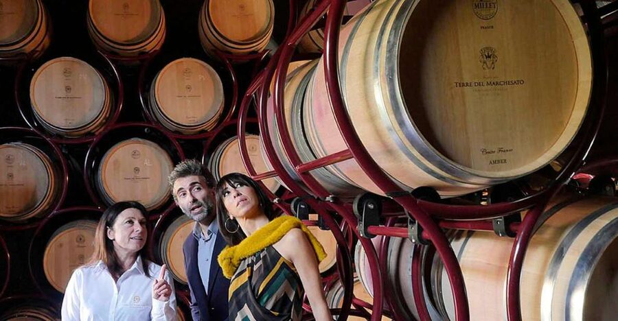 Bolgheri: Winery Tour with Wine Tasting - The vineyard start: learning how Bolgheri shapes the wine
