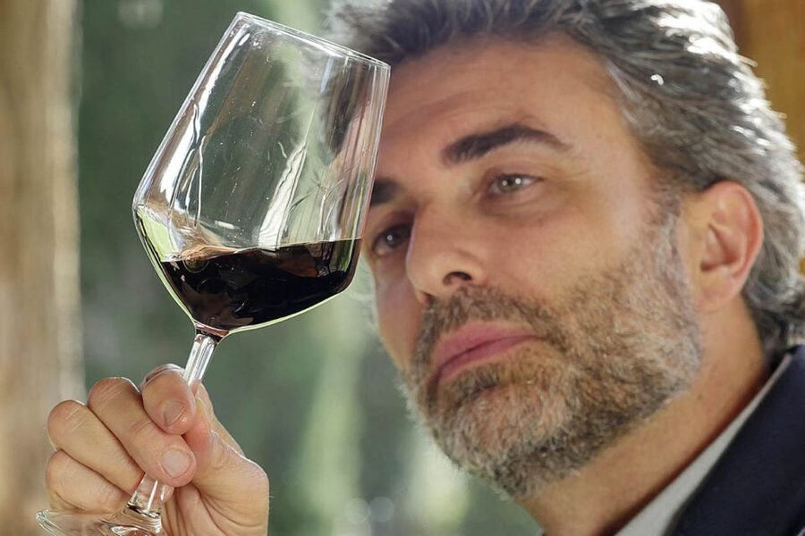 Bolgheri: Winery Tour with Wine Tasting - Price and value: why $29 can be a good deal here
