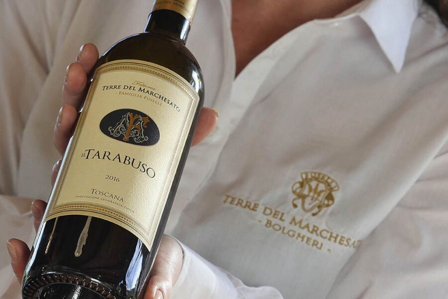 Bolgheri: Winery Tour with Wine Tasting - Best for who: when this tour clicks