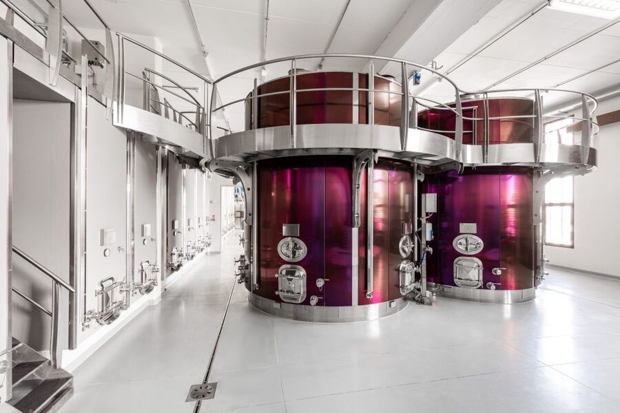 Bologna: Olive Grove and Vineyard Tour with Product Tastings - Key things to know before you go