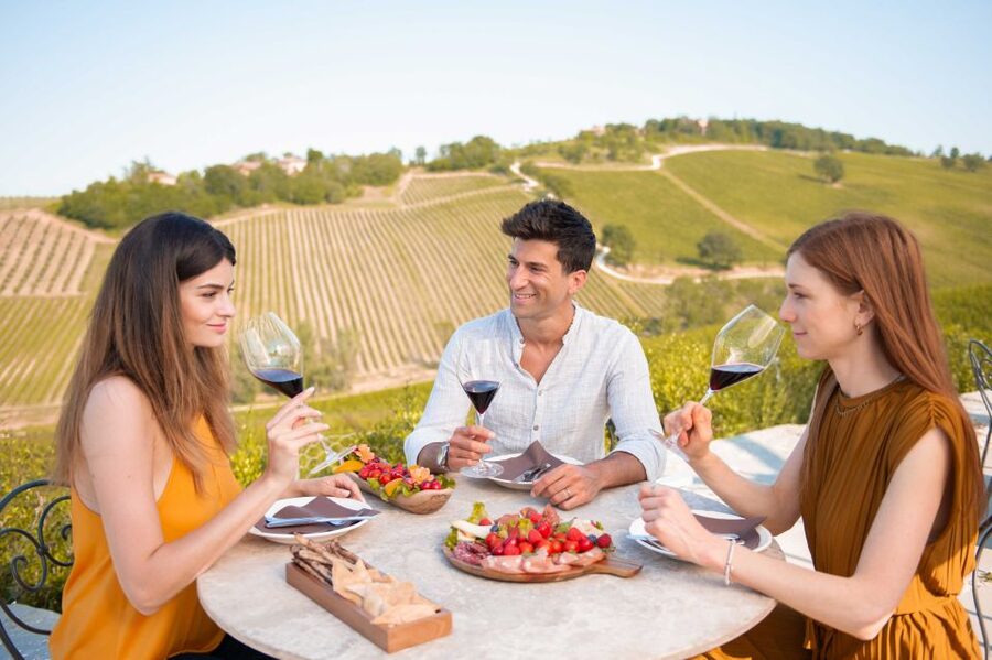 Bologna: Olive Grove and Vineyard Tour with Product Tastings - Why this Bologna olive grove tour feels different from a typical wine stop