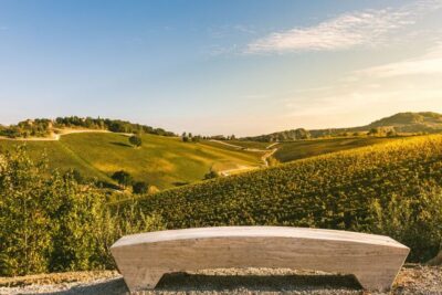 Bologna: Olive Grove and Vineyard Tour with Product Tastings - Regenerated buildings and a working farm you can picture