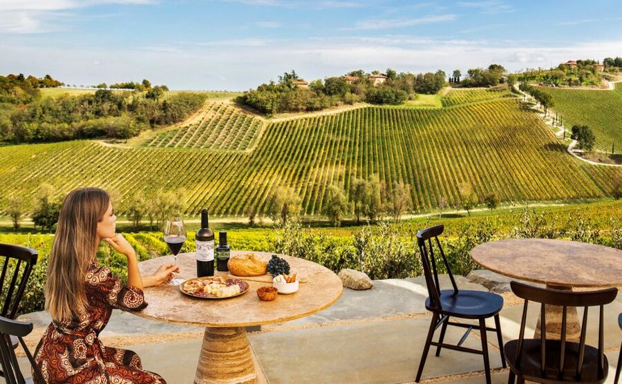 Bologna: Olive Grove and Vineyard Tour with Product Tastings - Price and value for a $20 tour in a 1–1.5 hour slot
