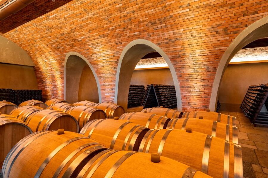 Bologna: Olive Grove and Vineyard Tour with Product Tastings - Practicalities: timing, getting there, and who should go