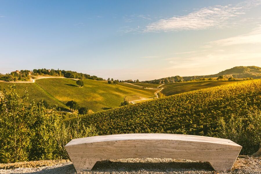 Bologna: Olive Grove and Vineyard Tour with Product Tastings - Regenerated buildings and a working farm you can picture