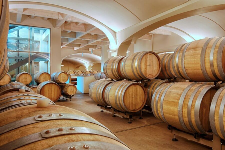 Bologna Vineyard Vista: a journey through Emilian wines - Key highlights you’ll care about