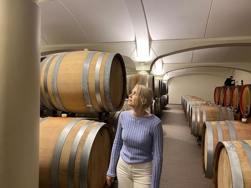 Bologna Vineyard Vista: a journey through Emilian wines - Deluxe Experience (2h): Vineyard Walk Plus a Five-Wine Tasting Set