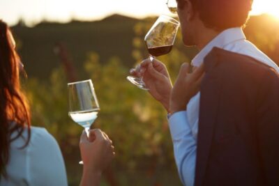 Bologna Vineyard Vista: a journey through Emilian wines - Classic Experience (1h30): Three Wines With Exact Emilian Pairings