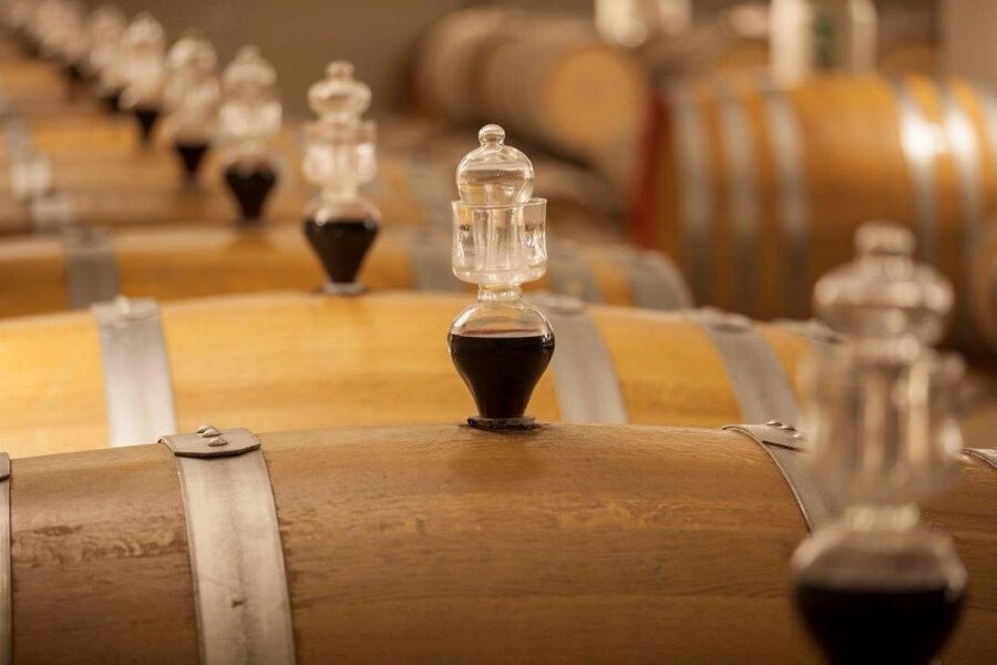 Bologna Vineyard Vista: a journey through Emilian wines - Should You Book Bologna Vineyard Vista With Felsina Culinaria?