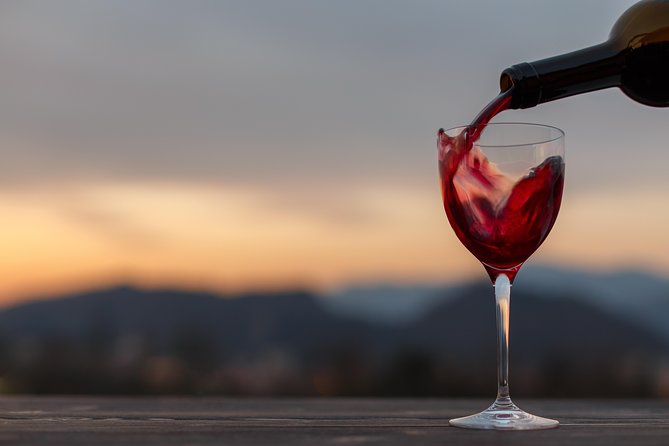 Bologna Wine Tasting & Winery Tour in the Colli Bolognesi - At the Winery: What Makes the Family-Winery Feel Different