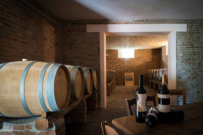 Bologna Wine Tasting & Winery Tour in the Colli Bolognesi - The Tasting: What You’ll Sip and How It’s Guided