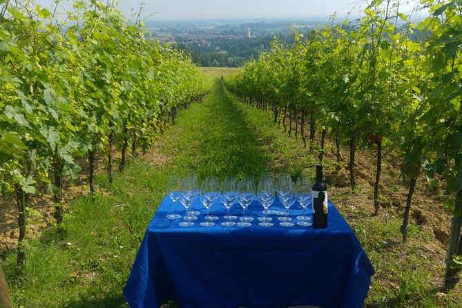 Bologna Wine Tasting & Winery Tour in the Colli Bolognesi - Wine Focus: Pignoletto and Controluce Rosso Doc (And What to Listen For)
