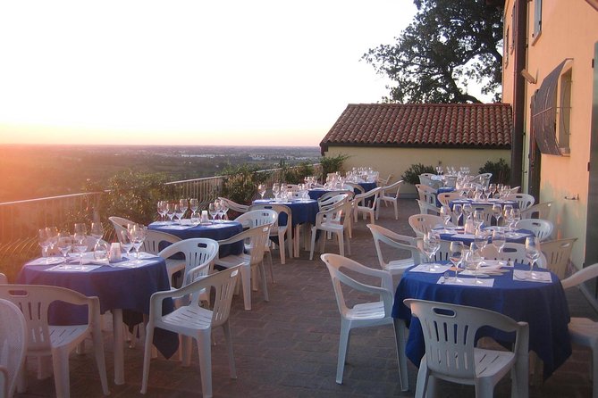 Bologna Wine Tasting & Winery Tour in the Colli Bolognesi - Weather and Timing: Plan for Comfort, Not Perfection