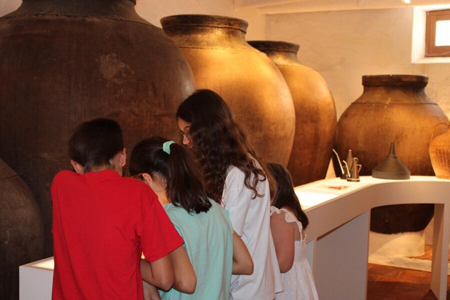 Borba: Visita à Casa Museu Interativa de Borba e Degustação - The multimedia self-guided walk: use your phone, but don’t rush