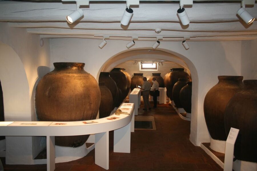 Borba: Visita à Casa Museu Interativa de Borba e Degustação - Ending with the tasting: 2 Talha wines and a serious Alentejo starter plate