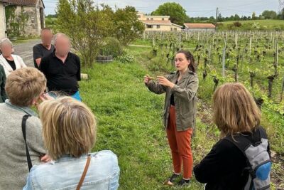 Bordeaux: Explore an Organic Family Vineyard with Tasting - Getting your bearings: the Bordeaux map and the 65 appellations