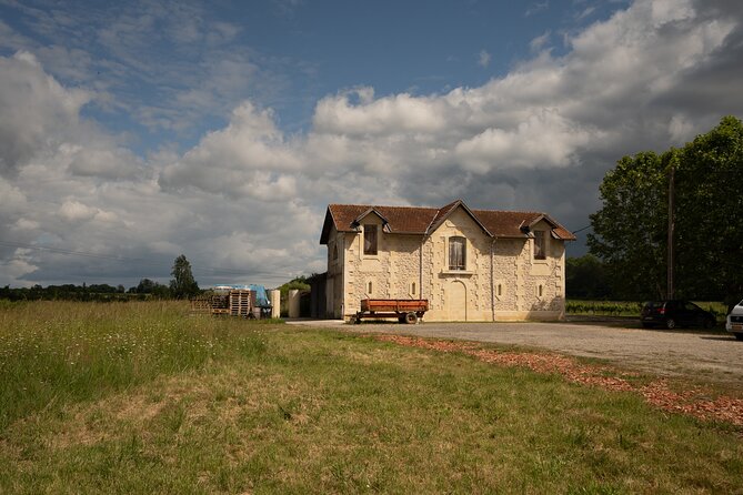 Bordeaux: Explore an Organic Family Vineyard with Tasting - Inside the cellar: fermentation, aging, and timing that matters