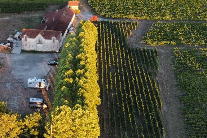 Bordeaux: Explore an Organic Family Vineyard with Tasting - Who should book Pestoury Vineyard (and who might skip it)