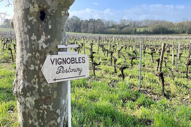 Bordeaux: Explore an Organic Family Vineyard with Tasting - Should you book Pestoury Vineyard’s organic tasting?