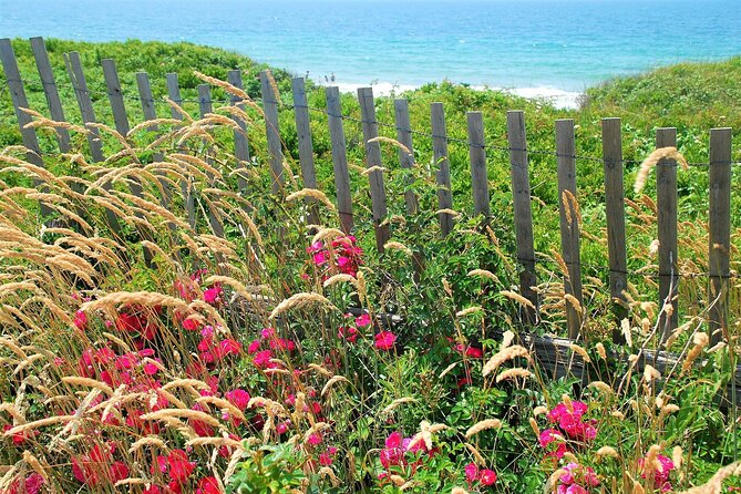Boston to Martha's Vineyard Day Trip with Optional Island Tour - Value Check: Is $129 a Good Deal?