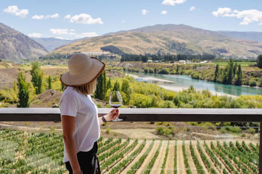 Boutique Winery Half-Day Tour & Vineyard Platter-Style Lunch - Key highlights to know before you go