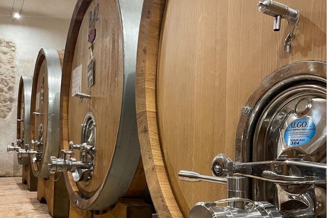 Boutique Winery Tour & Tasting in Valpolicella - English-Friendly and Easy to Enter: Mobile Ticket and Pace