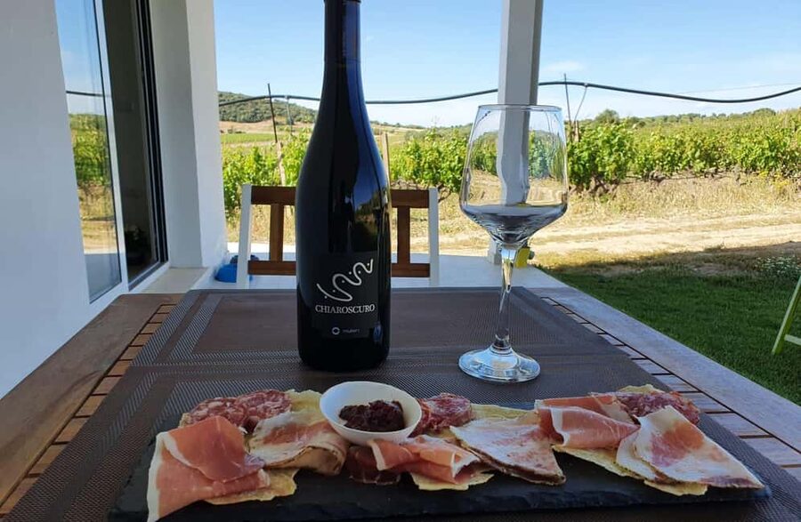 Boutique Winery Tour with Wine & Food Tasting near Cagliari - Key highlights you’ll care about