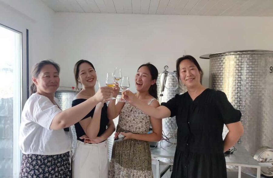 Boutique Winery Tour with Wine & Food Tasting near Cagliari - The guide factor: Luca’s style makes it click