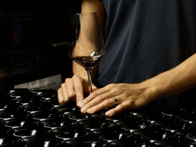 Boutique Winery Tour with Wine Tasting & Food in Bologna - The Colli Bolognesi grapes and terroir lesson you’ll actually use