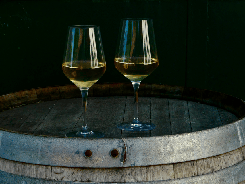 Boutique Winery Tour with Wine Tasting & Food in Bologna - Food pairings that feel like Bologna-area real life