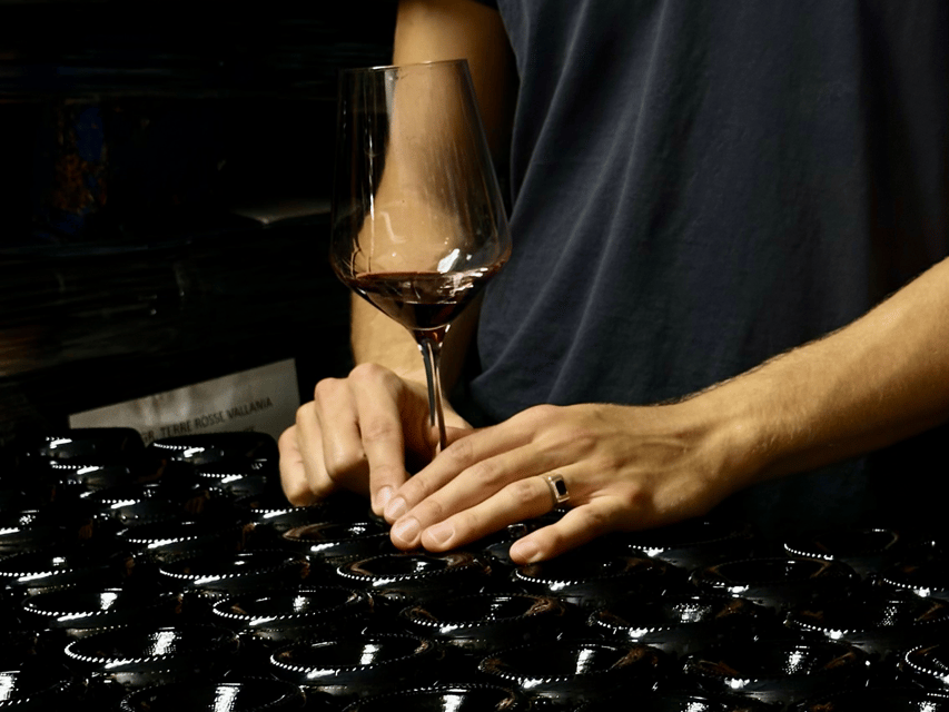 Boutique Winery Tour with Wine Tasting & Food in Bologna - The Colli Bolognesi grapes and terroir lesson you’ll actually use