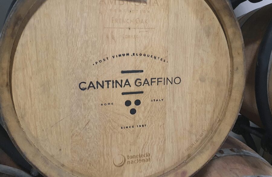 Boutique Winery Visit & Tasting near Rome - Key things I’d watch for before you go