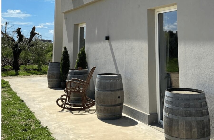 Boutique Winery Visit & Tasting near Rome - Wine tasting (about 80 minutes): 4 wines, your palate, and the food rhythm