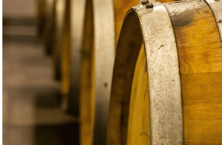 Boutique Winery Visit & Tasting near Rome - The guide and communication: English, Italian, and real friendliness